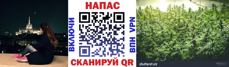 Бошки Шишки тримм Котельниково